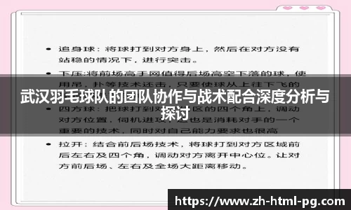 武汉羽毛球队的团队协作与战术配合深度分析与探讨